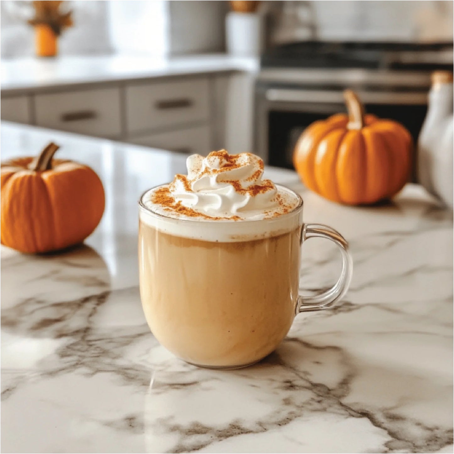 SUGAR FREE PUMPKIN SPICE