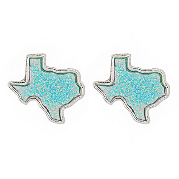 TEXAS DRUZY POST EARRINGS - SILVER / TURQUOISE