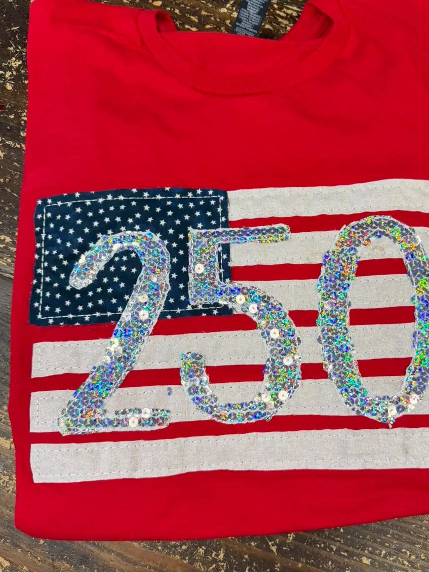 American 250 Flag, America Graphic Tee -Sequins and Fabric